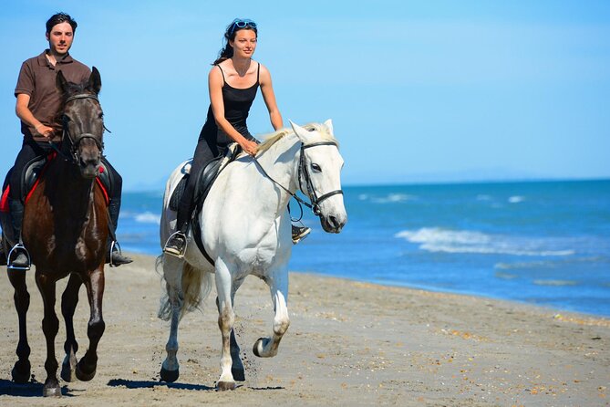 Sharm El Sheikh Horseback Riding with Pickup and Drop-off - Getting started with pickup and a safety briefing