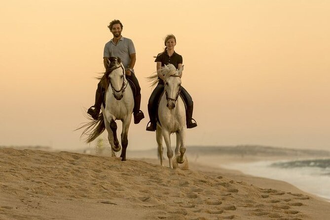 Sharm El Sheikh Horseback Riding with Pickup and Drop-off - One hour or two hours in the saddle