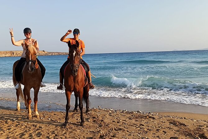 Sharm El Sheikh Horseback Riding with Pickup and Drop-off - Is the low price good value?