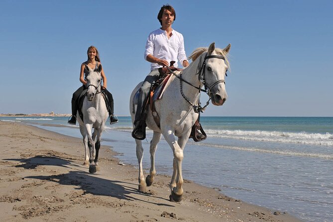 Sharm El Sheikh Horseback Riding with Pickup and Drop-off - Who will enjoy this most?