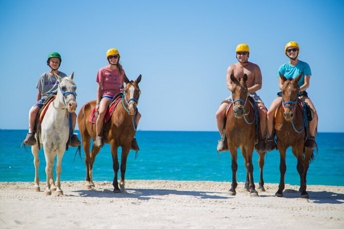 Sharm El Sheikh Horseback Riding with Pickup and Drop-off - What the horses add to the experience