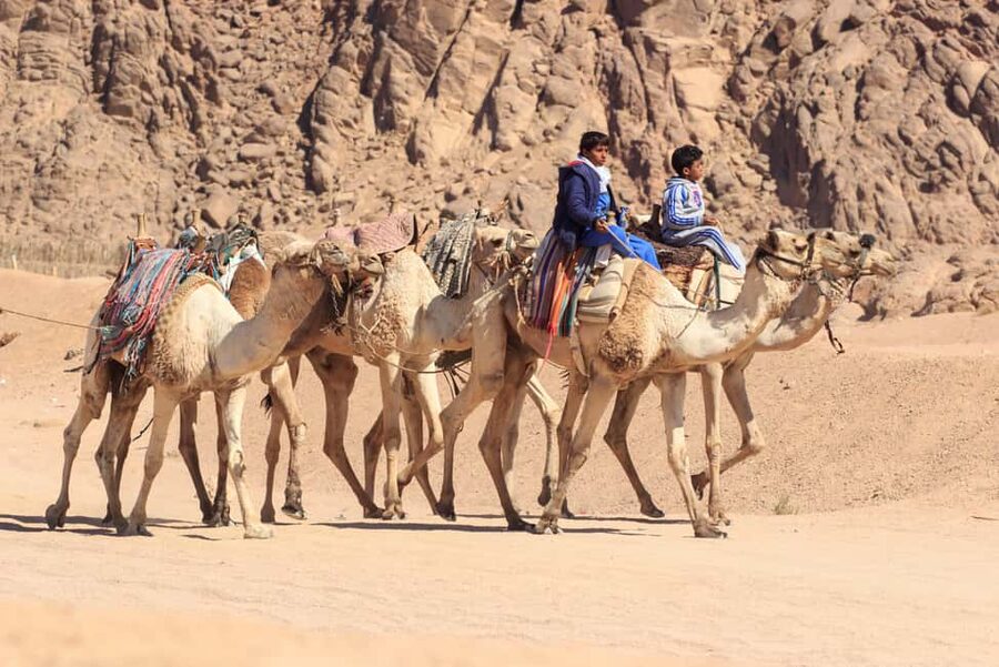 Sharm El-Sheikh: Morning Desert ATV Quad or Buggy Adventure - Breakfast in a Bedouin village