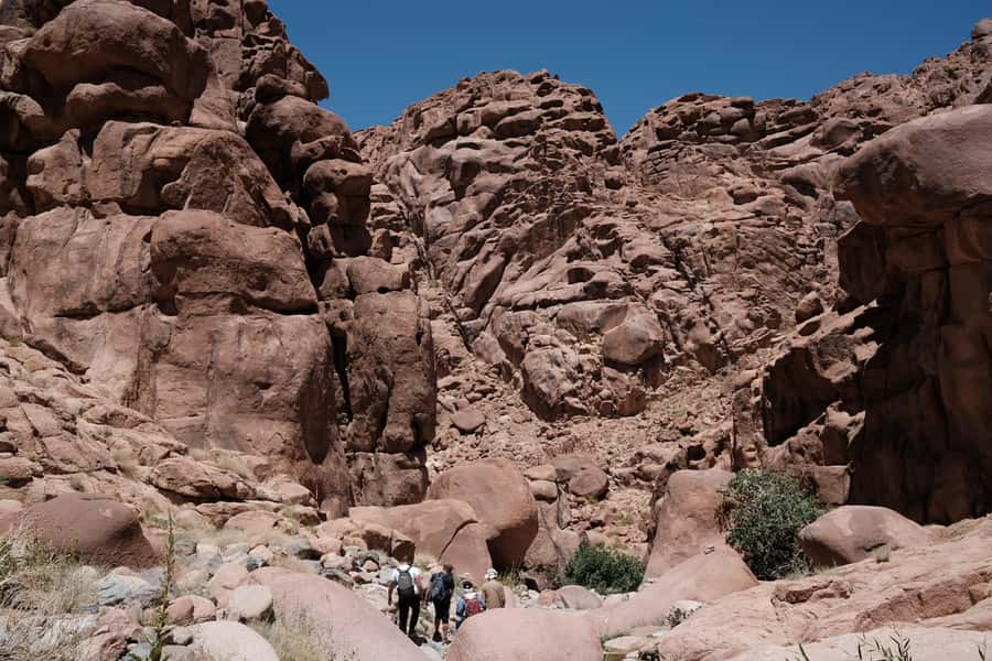 Sharm El Sheikh: Mount Sinai & St. Catherine's Monastery - Practical ways to make the climb better