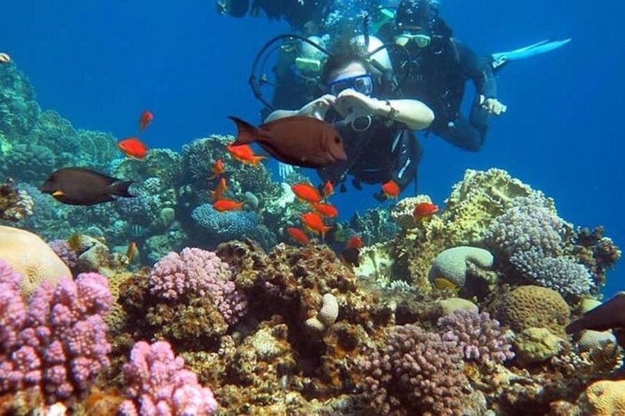 Sharm El-Sheikh: Parasailing, Camel Ride, Dive & Quad Bike - What to bring, and what to leave behind