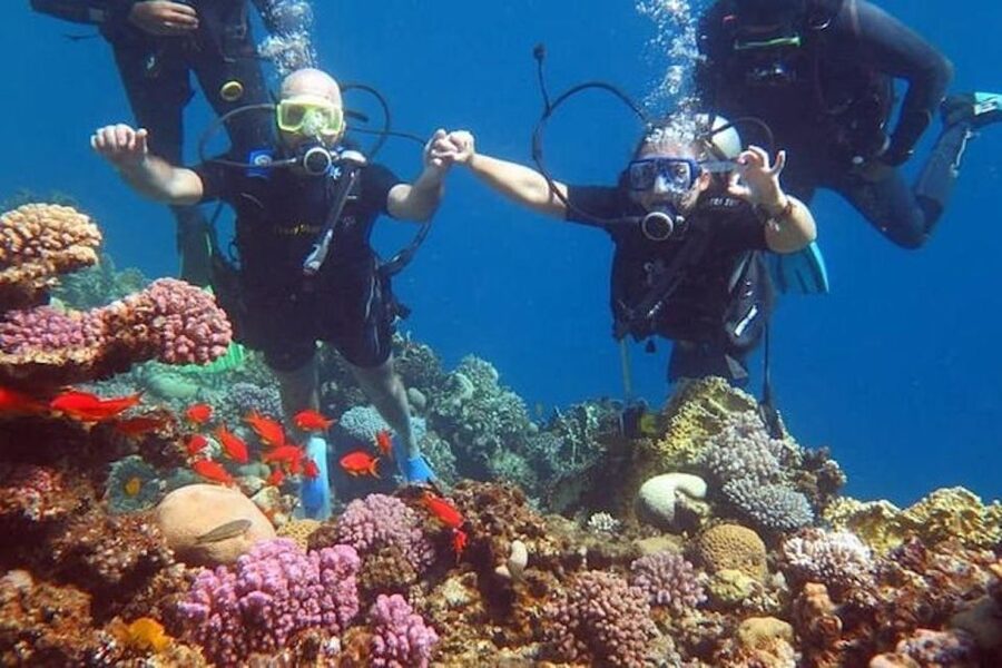 Sharm El-Sheikh: Parasailing, Camel Ride, Dive & Quad Bike - Quad bikes bring the first burst of speed