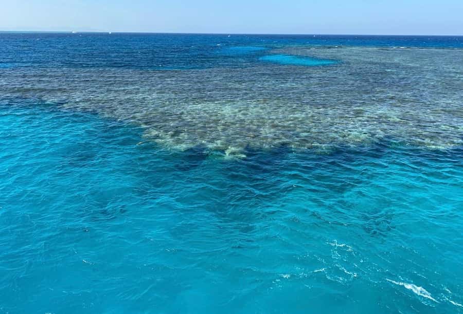 Sharm el-Sheikh: Premium Ras Mohammed & White Island Cruise - White Island, sand, and the photo stop