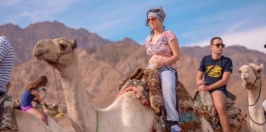 Sharm El Sheikh: Quad bike, Safari, Camel With Dinner & Show - What to bring and what to watch for