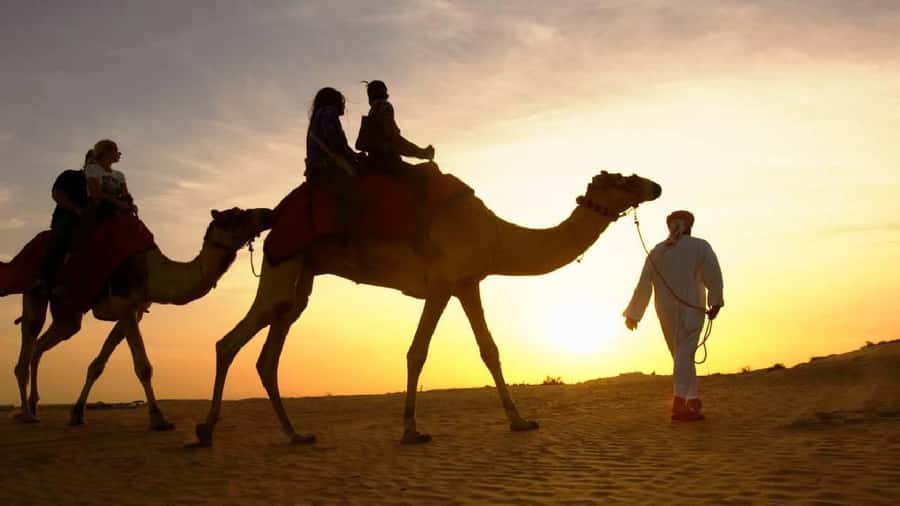 Sharm El Sheikh: Quad Biking, Camel Ride & Bedouin Dinner. - Pickup from Sharm El Sheikh