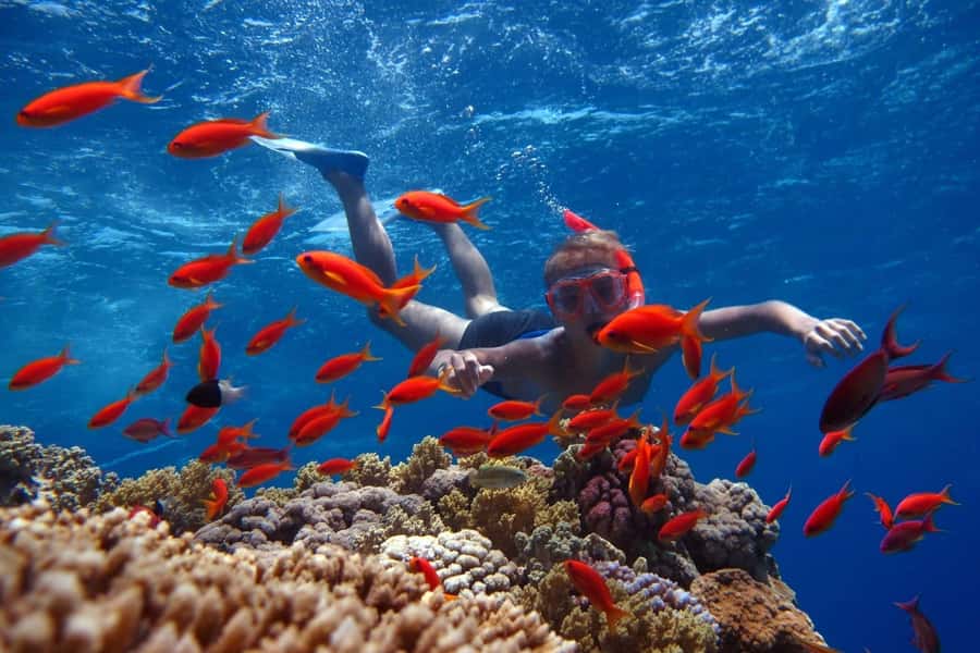 Sharm El Sheikh: Ras Mohamed Cruise with Snorkeling & Lunch - Key points at a glance