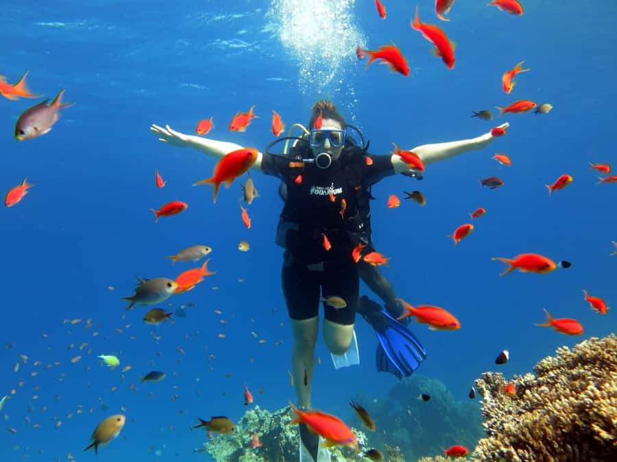 Sharm El Sheikh: Ras Mohamed Cruise with Snorkeling & Lunch - First water stop: coral and marine life
