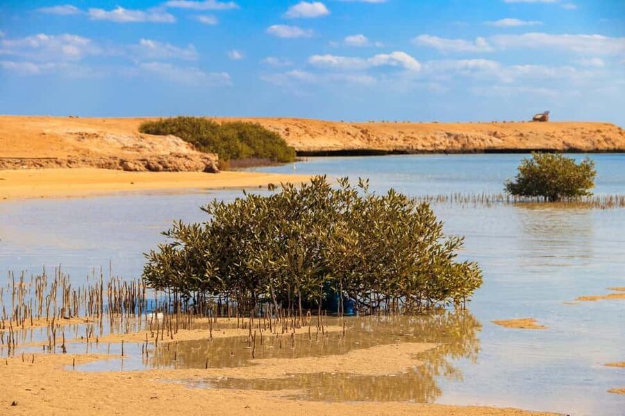 Sharm El-Sheikh: Ras Mohamed Half-Day Tour & Allah's Gate - Key points to know before booking