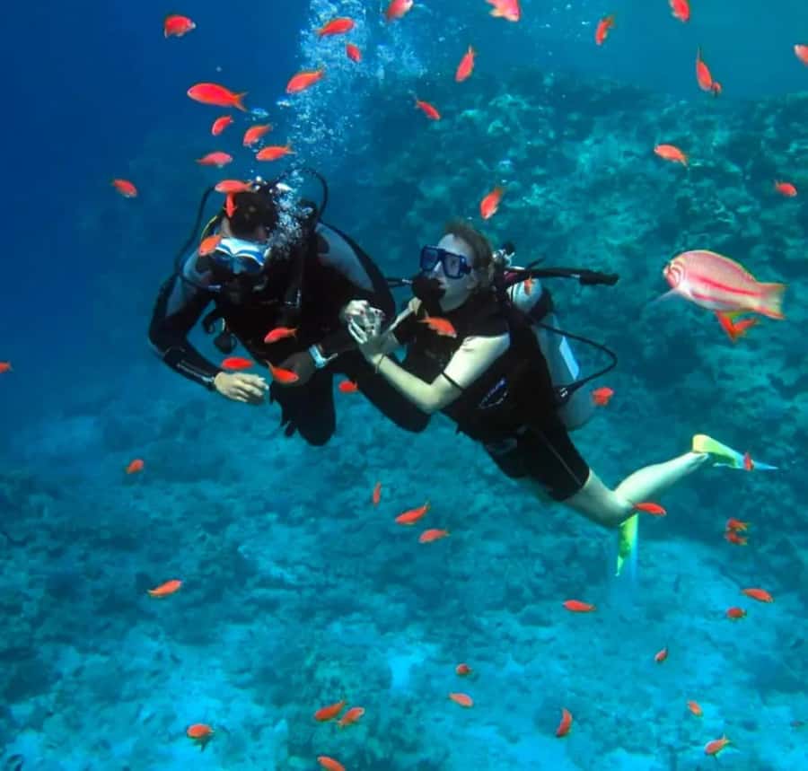 Sharm El Sheikh: Ras Mohamed & White Island Dive & Snorkel - Why Ras Mohamed makes this boat day worthwhile
