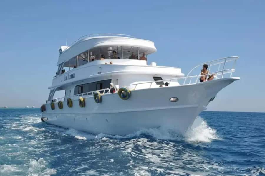 Sharm El Sheikh: Ras Mohamed & White Island Dive & Snorkel - White Island, a sandbank in open water
