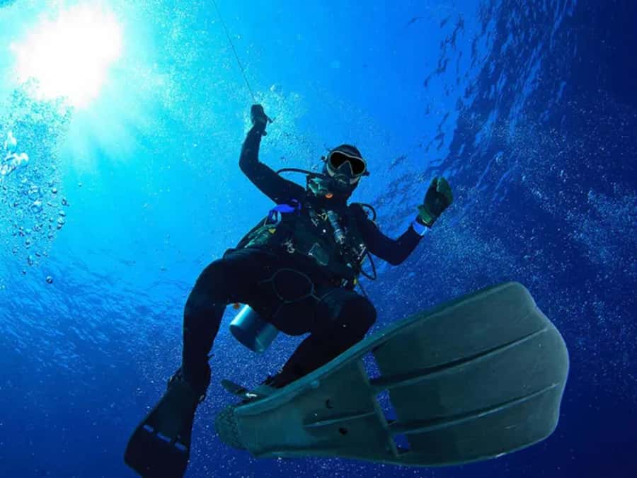 Sharm El Sheikh: Ras Mohamed & White Island Dive & Snorkel - The real value of the $29 price