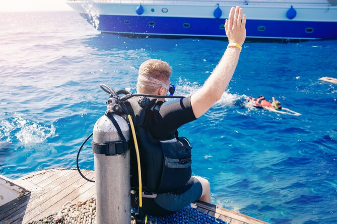 Sharm El Sheikh: Ras Mohamed, White Island, Snorkel and Diving - Scuba sessions and snorkeling stops
