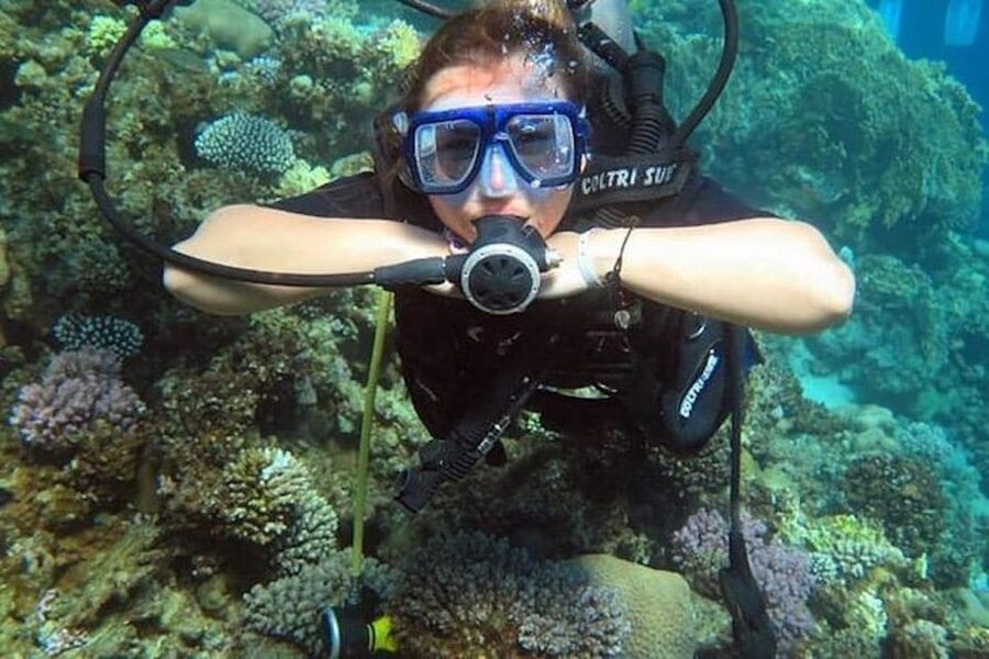 Sharm El Sheikh: Ras Mohamed & White Island Snorkel or Dive - From your hotel to the dive center
