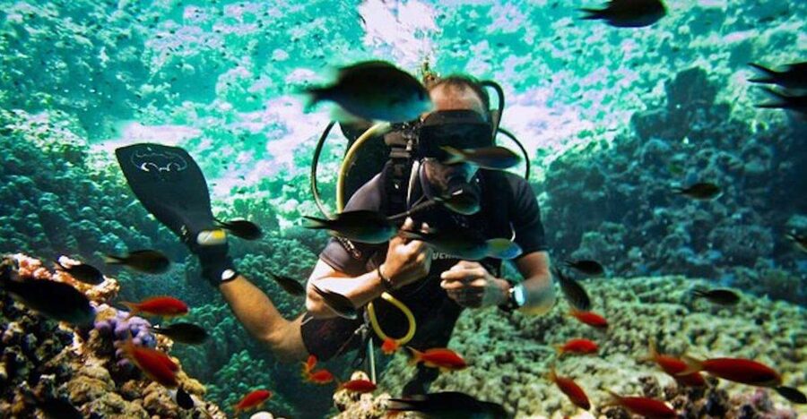 Sharm El Sheikh: Ras Mohamed & White Island Snorkel or Dive - The boat ride and the day’s plan