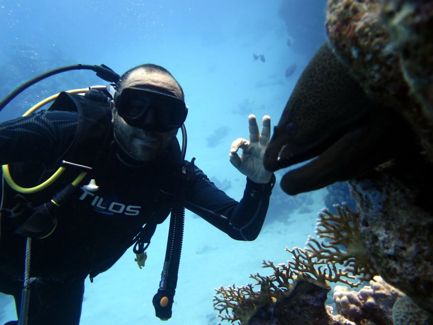 Sharm El Sheikh: Ras Mohamed & White Island Snorkel or Dive - Choosing snorkeling, an introduction, or certified scuba