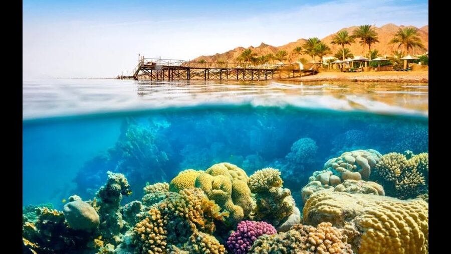 Sharm El-Sheikh: Ras Mohamed & White Island Snorkeling Trip - Barbecue lunch on the boat