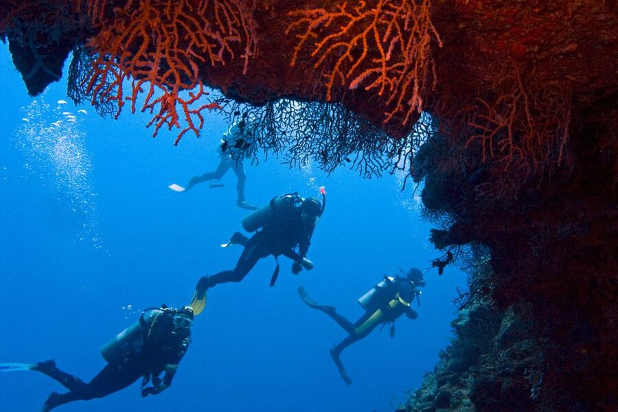 Sharm El-Sheikh: Ras Mohamed & White Island Snorkeling Trip - How good is the $25 value?