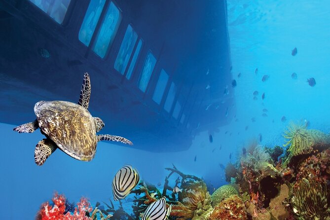 Sharm El-Sheikh: Royal Seascope Submarine cruise in with pickup - What Happens During the 90-Minute Outing