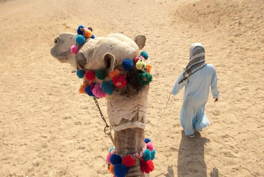 Sharm El-Sheikh: Ultimate ATV Quad, Stargazing & BBQ Dinner - Bedouin camp, camels, and sunset views
