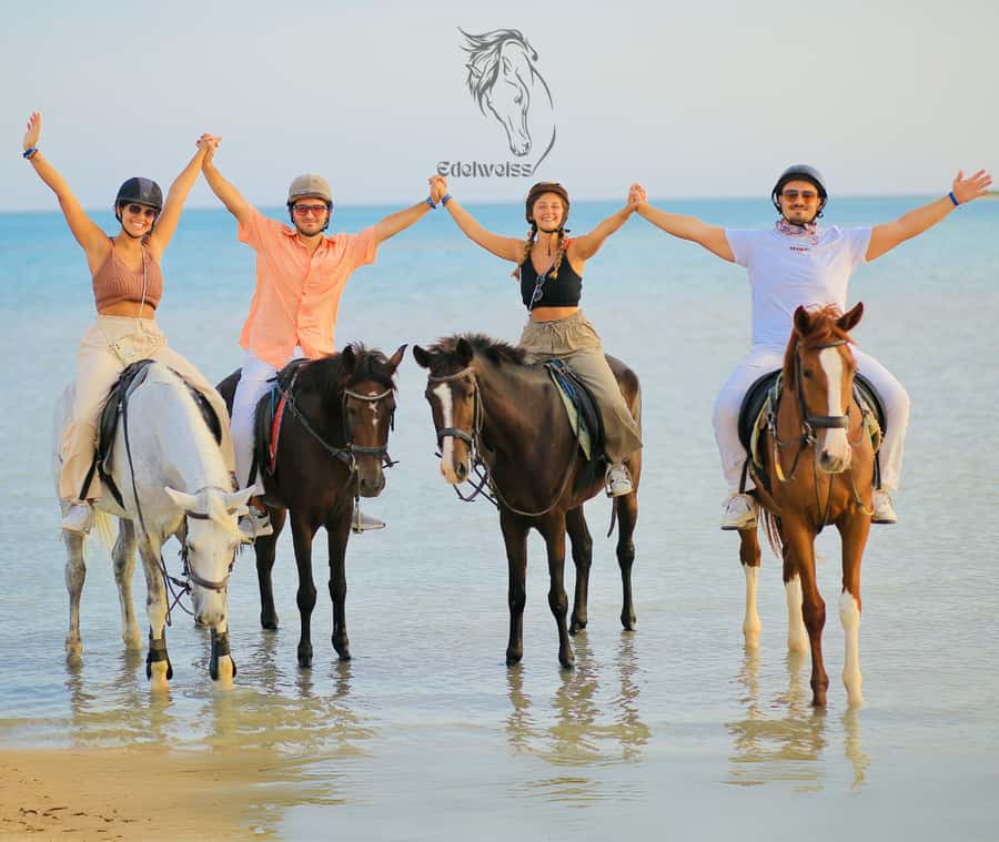 Sharm El Shiekh: Beach and City Desert Horse Riding Tour - Key points to know before you book