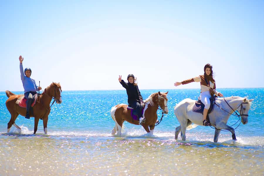 Sharm El Shiekh: Beach and City Desert Horse Riding Tour - Riding along the Red Sea shore