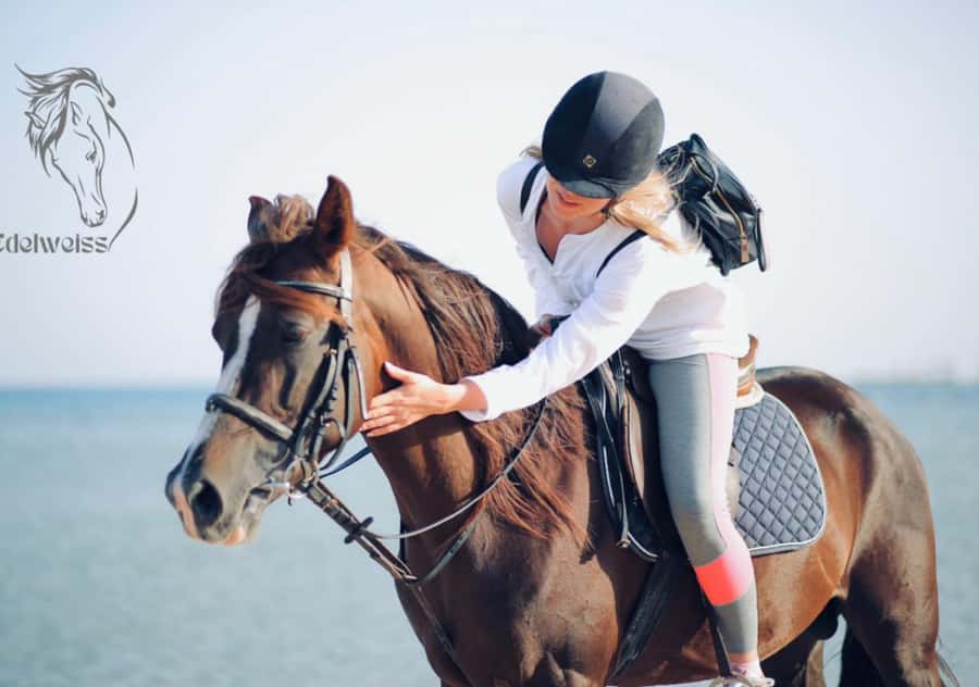 Sharm El Shiekh: Beach and City Desert Horse Riding Tour - Photography, clothing, and the small costs to watch