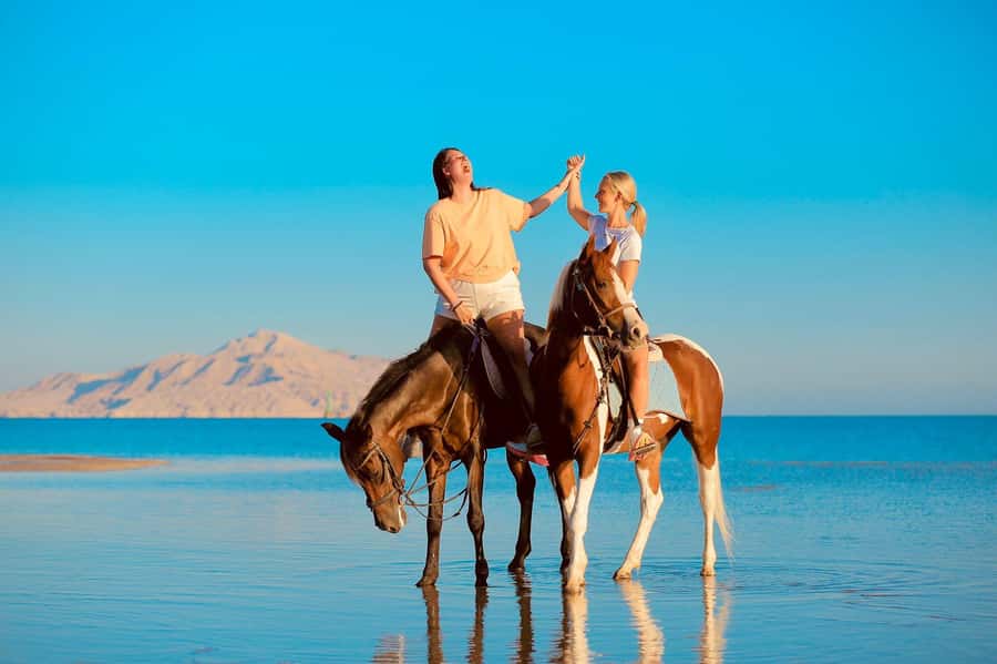 Sharm El Shiekh: Beach and City Desert Horse Riding Tour - Is $98 fair for two hours?
