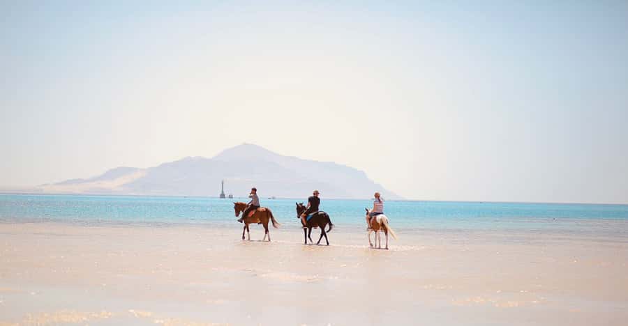 Sharm El Shiekh: Beach and City Desert Horse Riding Tour - Which departure time should you choose?