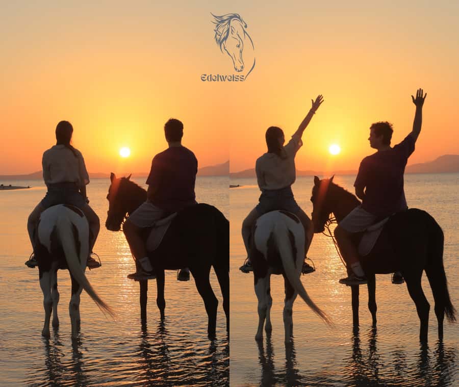 Sharm El Shiekh: Beach and City Desert Horse Riding Tour - The ride to the beach takes real time