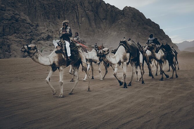Sharm: Quad Bike or Car Buggy, Camel ride & optional VIP Bedouin Dinner & Show - The mountain echo and Bedouin tent stop