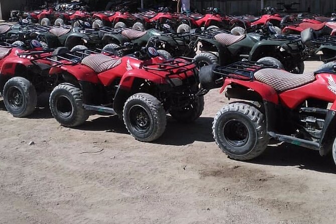 Sharm: Quad Bike or Car Buggy, Camel ride & optional VIP Bedouin Dinner & Show - Adding the VIP Bedouin dinner and show