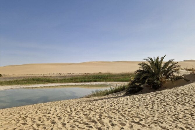 Siwa Oasis All Inclusive Tour From Cairo - Why Siwa is worth the long road from Cairo