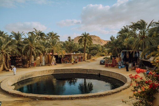 Siwa Oasis private all inclusive from cairo and GIZA - What the guiding and service are like