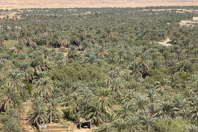 Siwa Oasis tour lifetime Experience 2 days &1night all inclusive - Floating in Lake Siwa