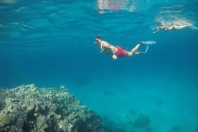 Snorkeling and Diving to Ras Mohamed And White Island by VIP Boat - Ras Mohamed and White Island in one long Red Sea day