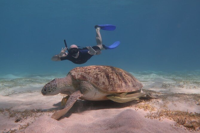 Snorkeling Boat Trip with Dugongs and Turtles in Marsa Alam - A useful safety briefing before you enter the water