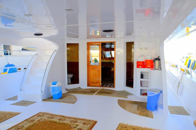 Snorkeling Day Trip To White Island And Ras Mohammed By VIP Boat - Key points to know before booking