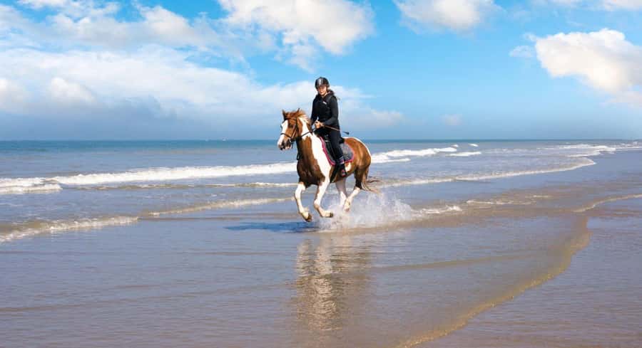 Soma Bay: Horse Riding Beach and Desert Tour With Transfer - Key points to know before you book