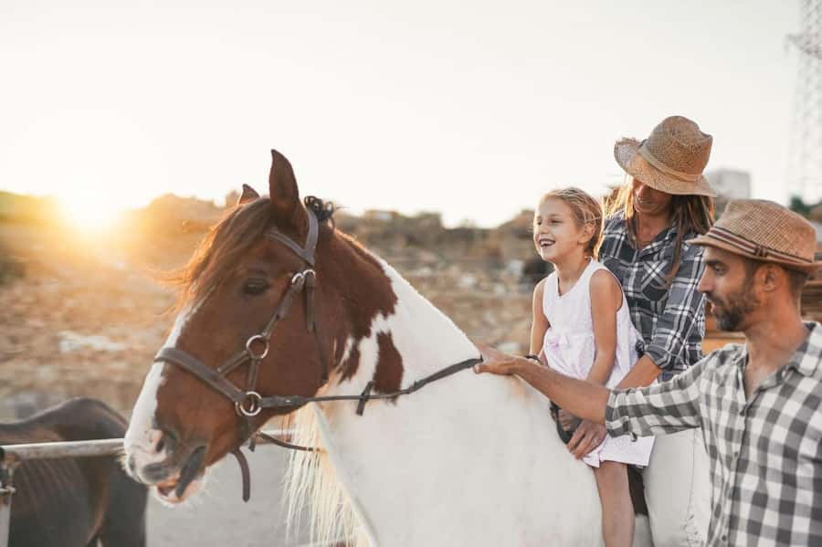 Soma Bay: Horse Riding Beach and Desert Tour With Transfer - A gentle start for first-time riders