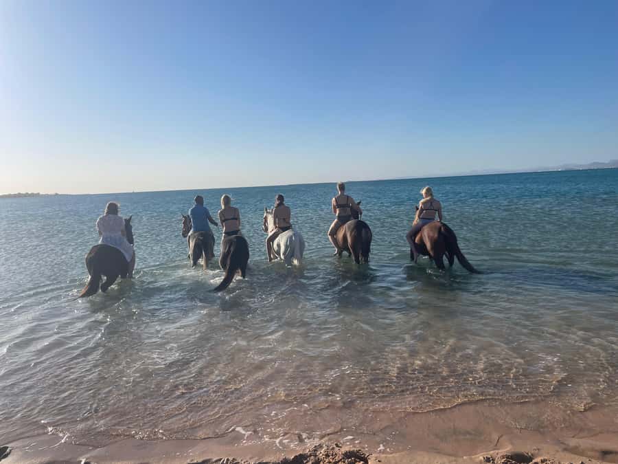 Soma Bay: Horse Riding Beach and Desert Tour With Transfer - The desert section and its open views