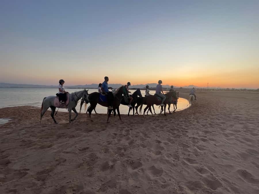 Soma Bay: Horse Riding Beach and Desert Tour With Transfer - Riding beside the beach