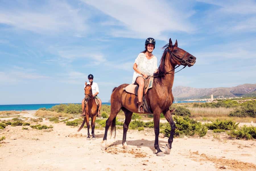 Soma Bay: Horse Riding Beach and Desert Tour With Transfer - How the guides shape the experience