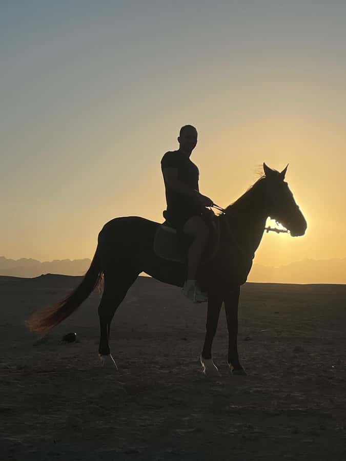 Soma Bay: Horse Riding Beach and Desert Tour With Transfer - Transfer details that can affect your budget