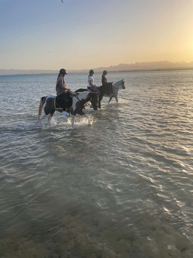Soma Bay: Horse Riding Beach and Desert Tour With Transfer - What to wear and bring