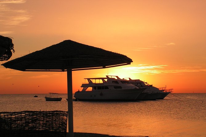 Sorkeling Trip to the White Island & Ras Mohammed - Key points before you book