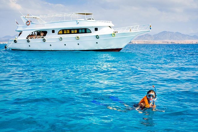Sorkeling Trip to the White Island & Ras Mohammed - Ras Mohammed’s reef stops