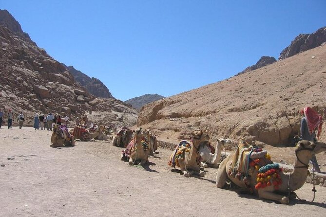 St Catherine Monastery and Mt Sinai Sunrise Tour from Dahab - Why this Dahab tour is worth considering
